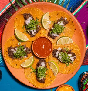 Tacos de Lamb Birria — slow-cooked lamb in soft corn tortillas